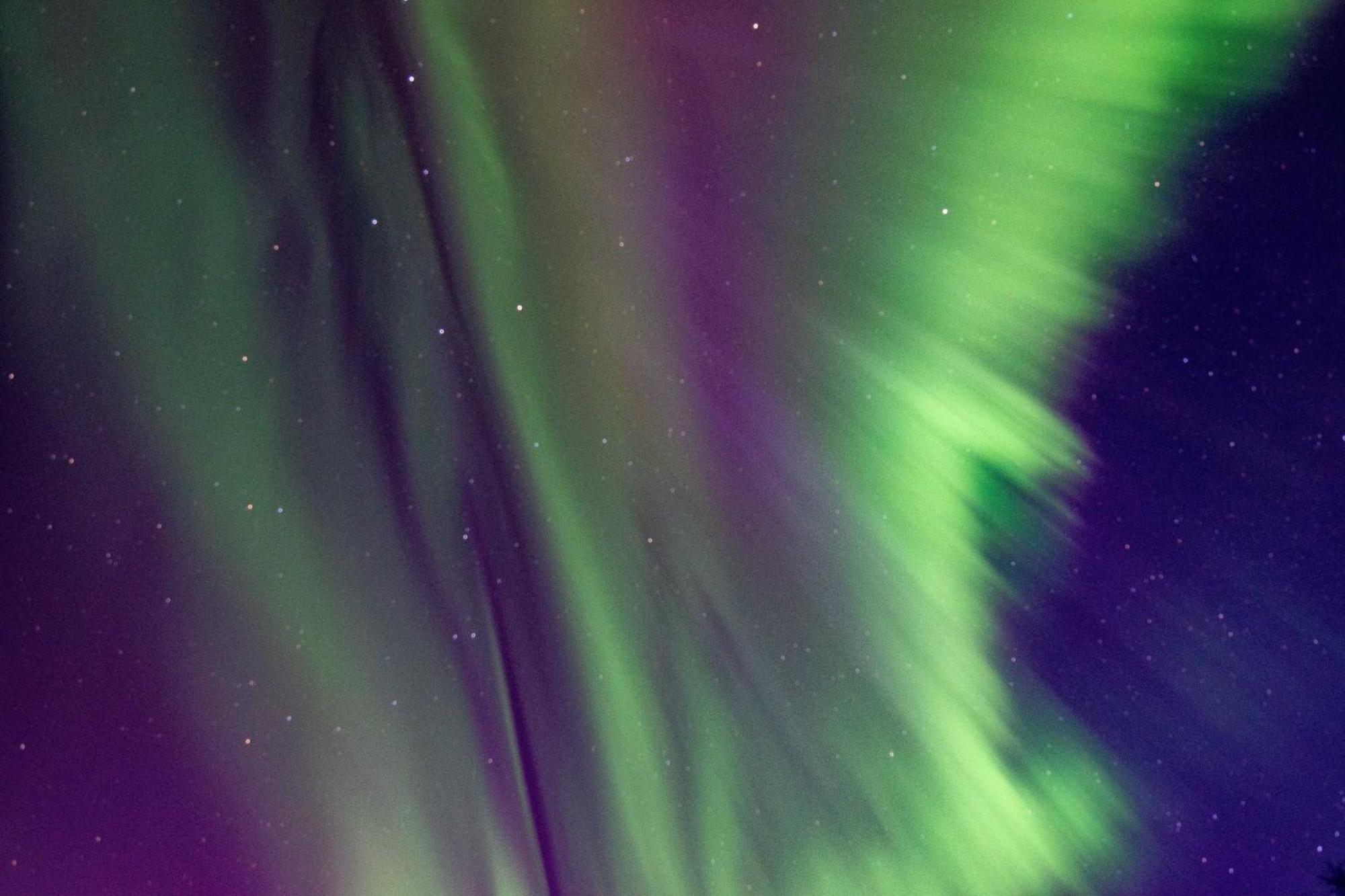 Riverside Log Cabin On-Site Aurora Viewing! North Pole Bagian luar foto